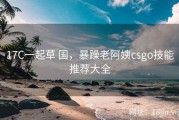 17C一起草 国，暴躁老阿姨csgo技能推荐大全