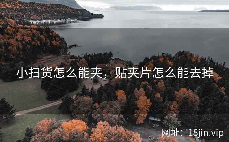 小扫货怎么能夹，贴夹片怎么能去掉