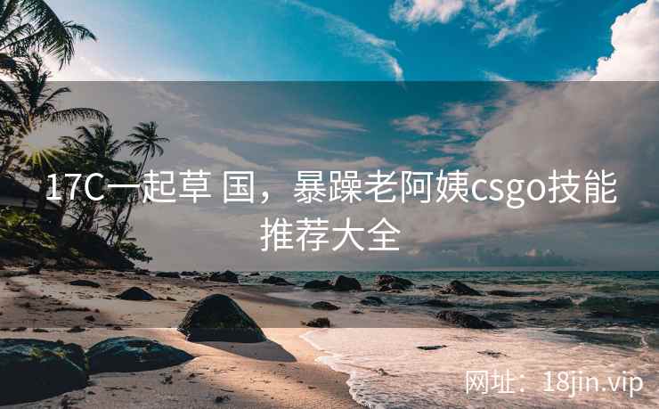 17C一起草 国，暴躁老阿姨csgo技能推荐大全
