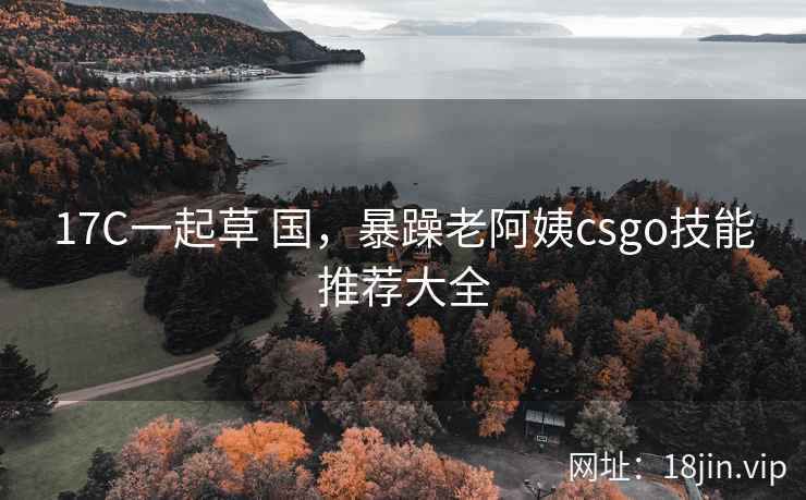 17C一起草 国，暴躁老阿姨csgo技能推荐大全